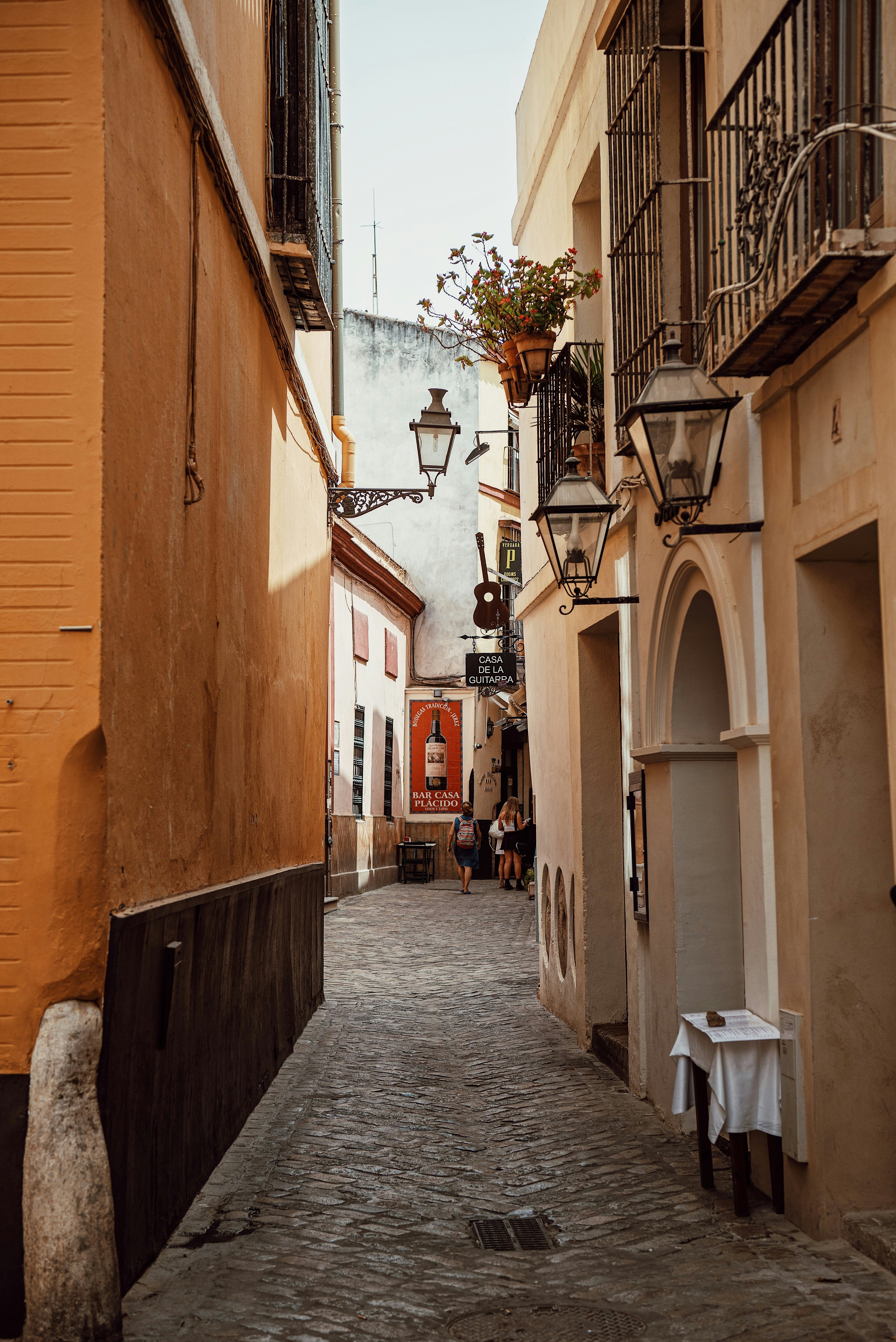 tania-mousinho-Le5rxqjSfhc-unsplash.jpg