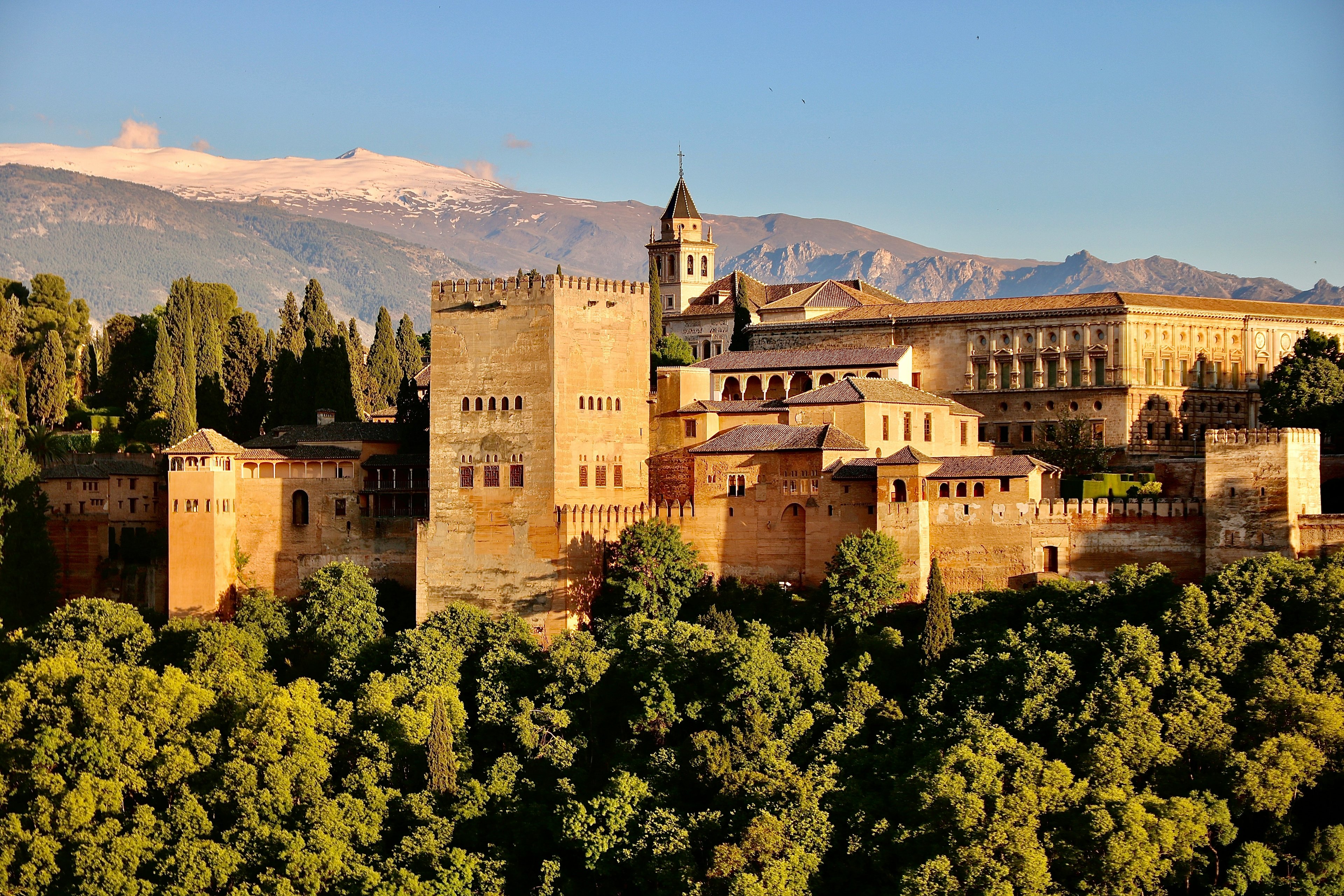 jorge-fernandez-salas-zXxkdiBgHvA-unsplash.jpg