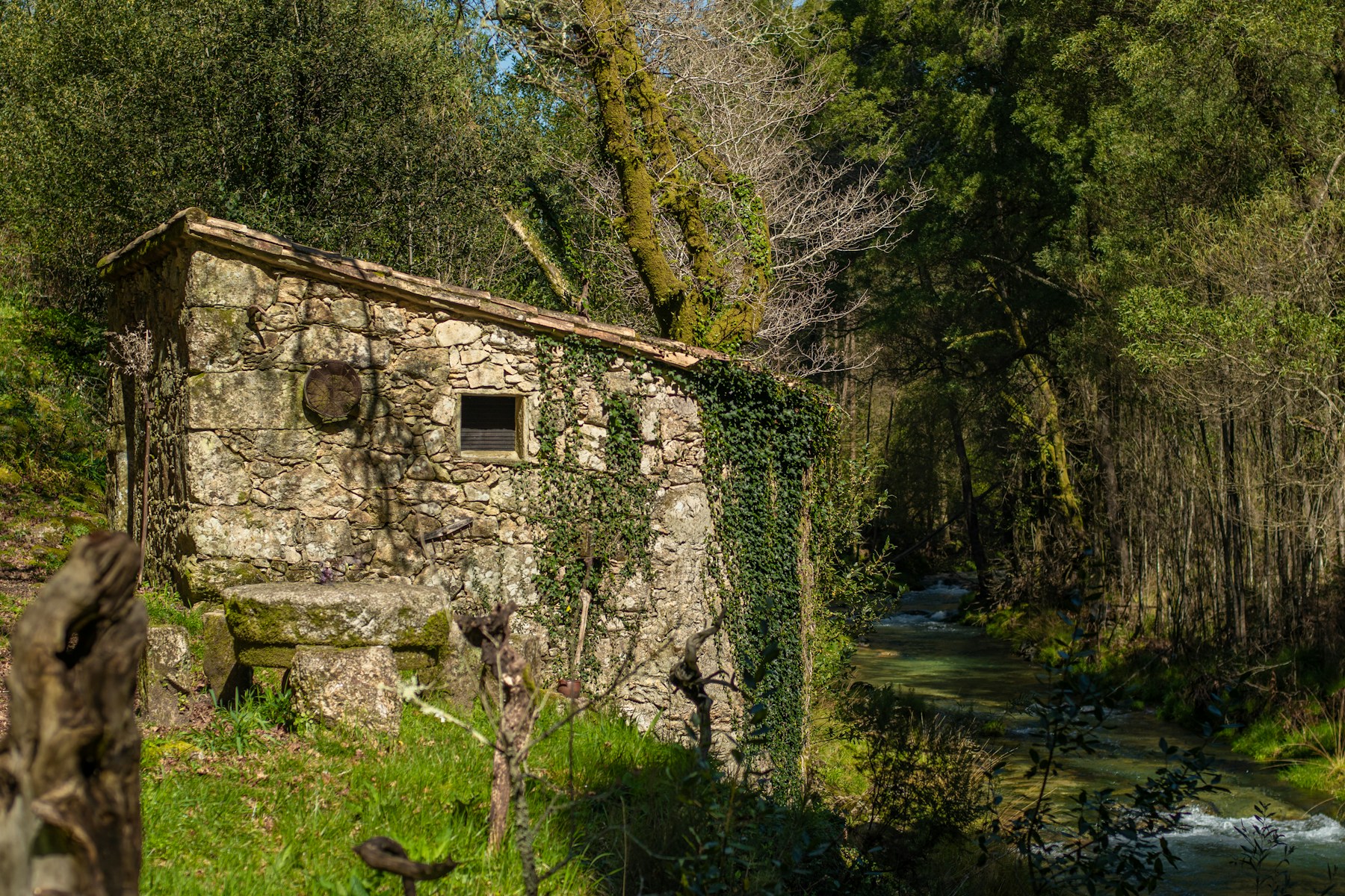 Molino de piedra junto a un río en Galicia