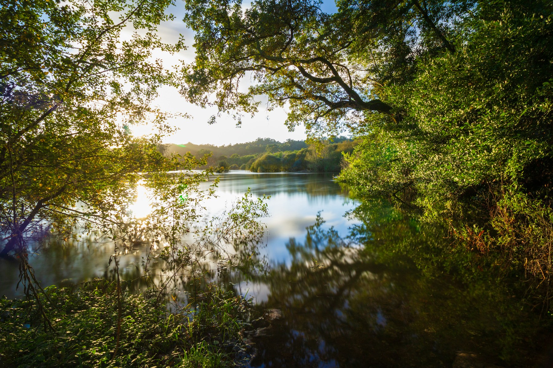 Río gallego entre árboles, reflejos y paisaje rural cerca de Baamonde