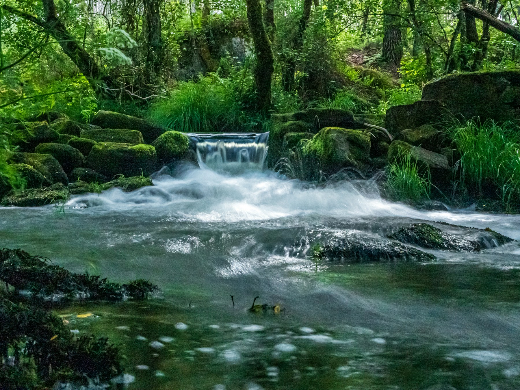 Río gallego entre árboles y vegetación