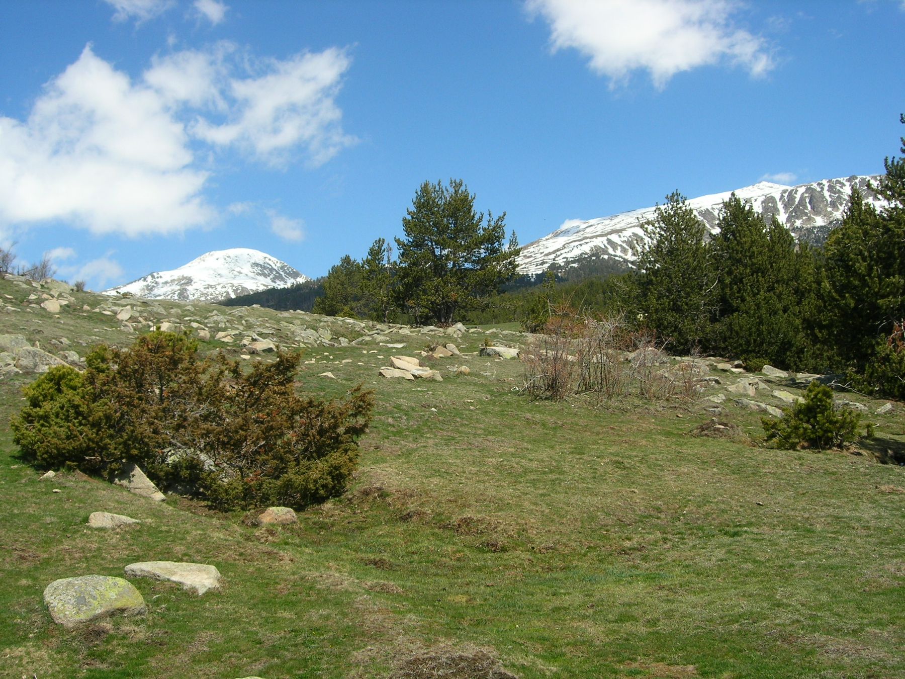 Prados de Cap de Rec con la Tossa Plana de Lles al fondo. Foto: Enfo, CC BY-SA