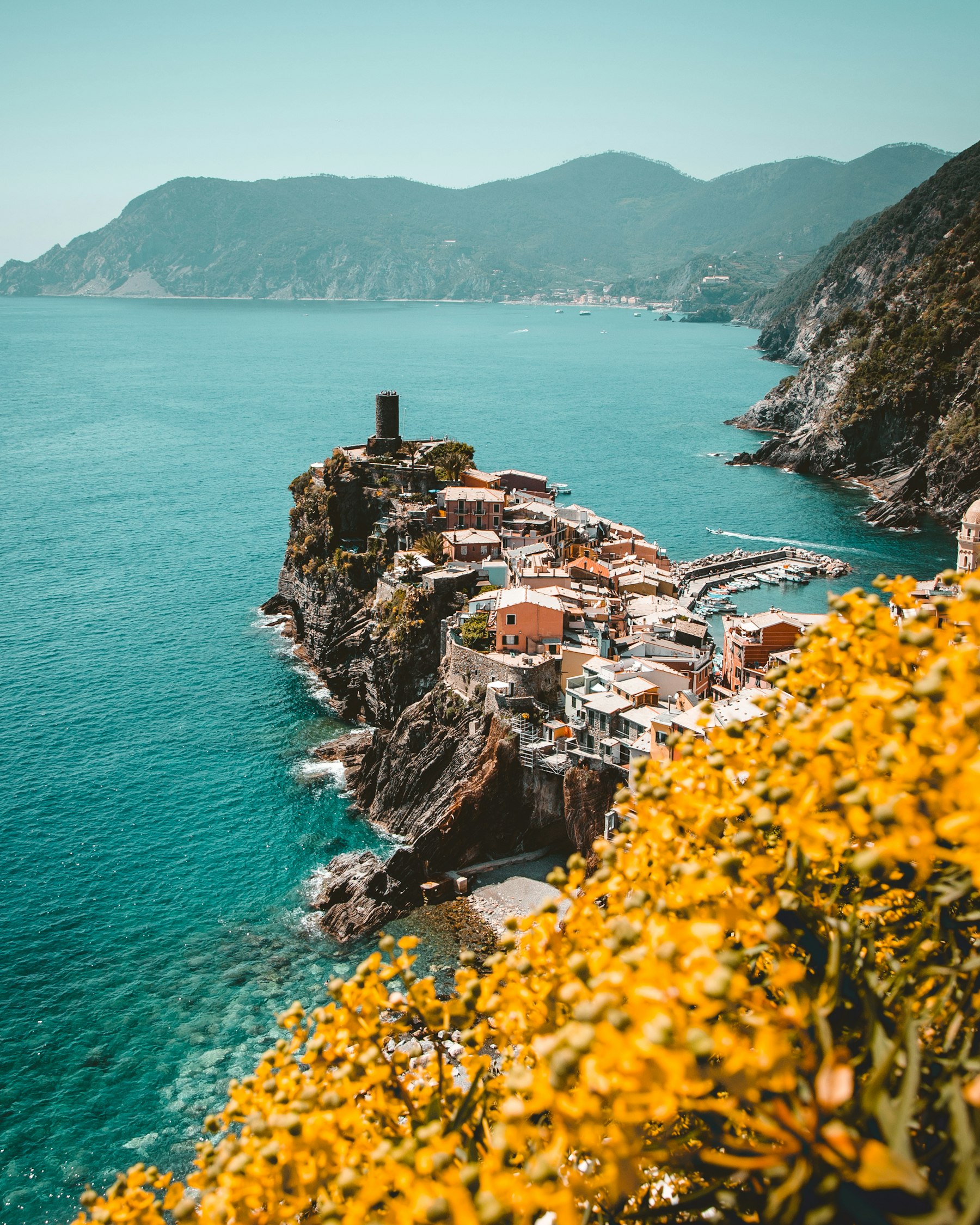 Vernazza vista dall'alto, con la torre e il porto