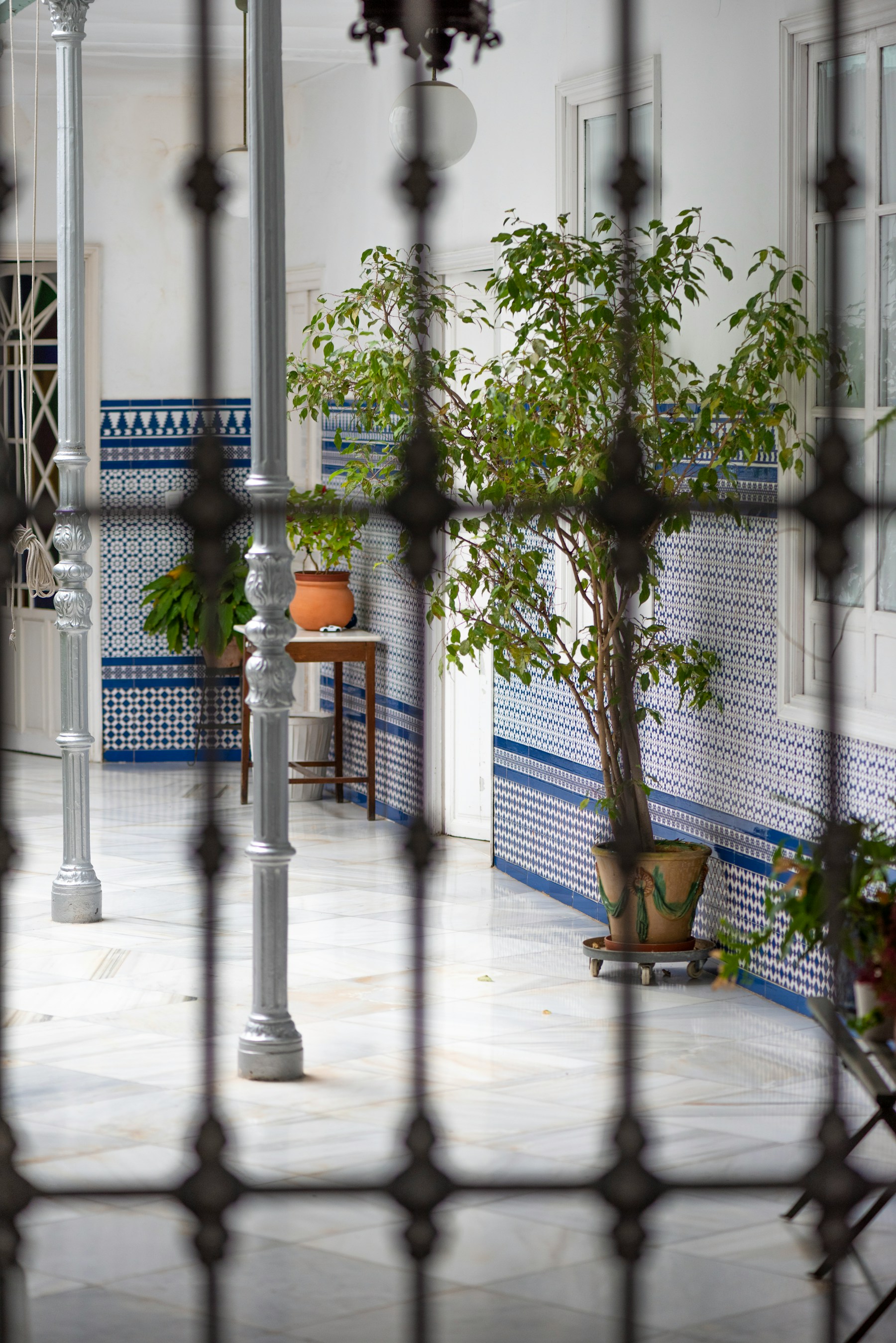 Patio cordobés con plantas y suelo de azulejo