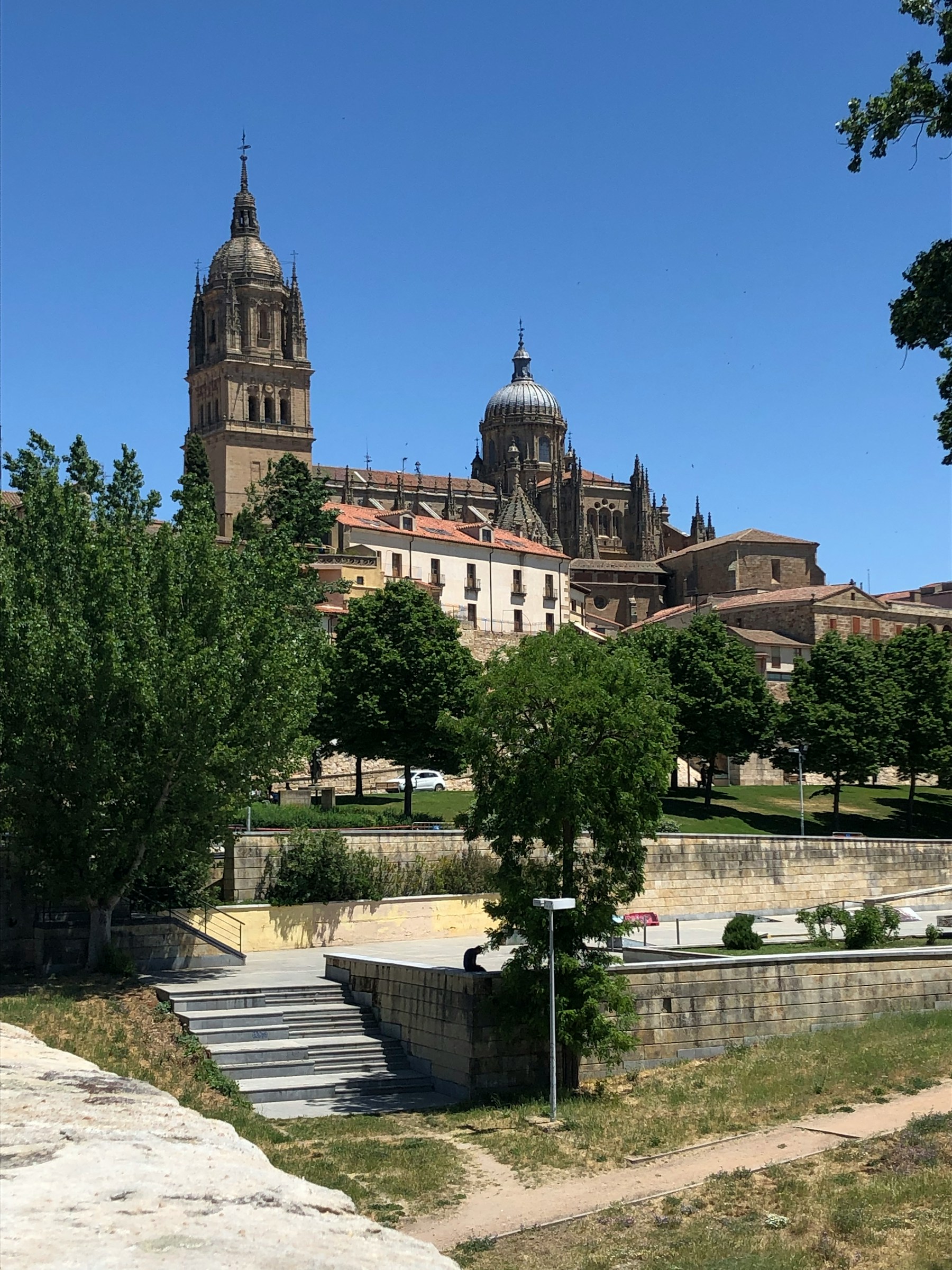 Salamanca Cathedral at sunset
