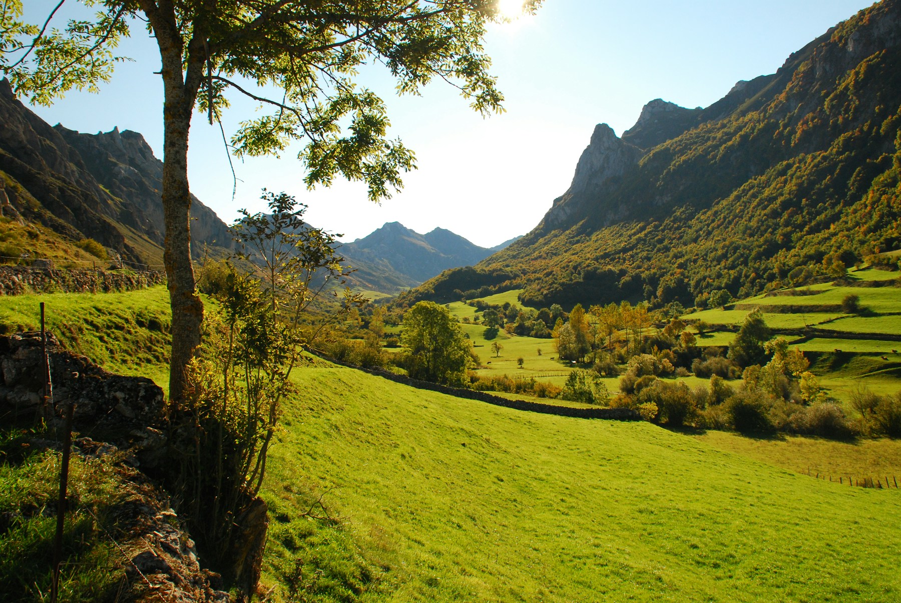 Valle verde de montaña en Somiedo