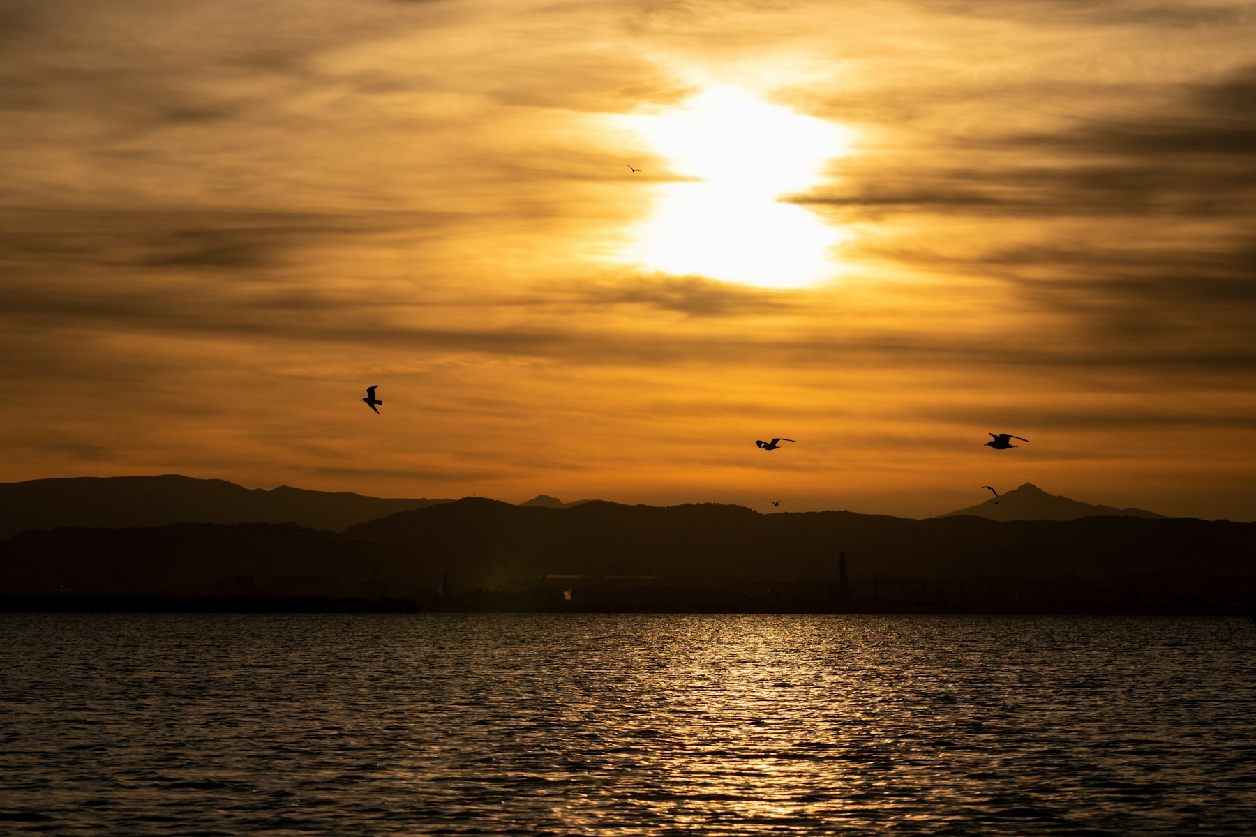 Atardecer naranja en la Albufera de Valencia